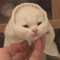 Татьяна
