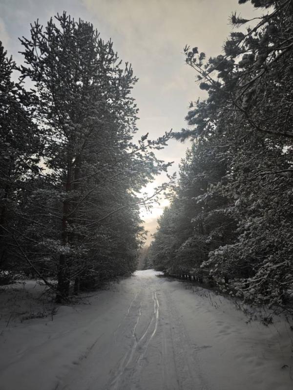 post image 5