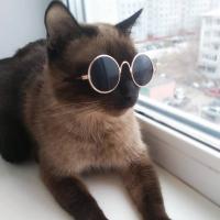 Антонина