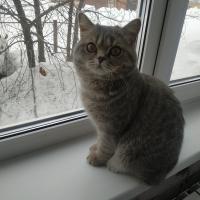 Екатерина 