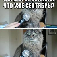 Катюша