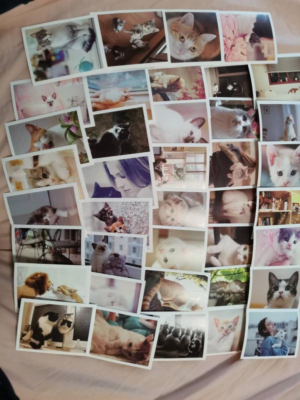post image 4