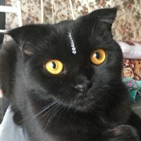 Полина