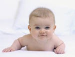 alena