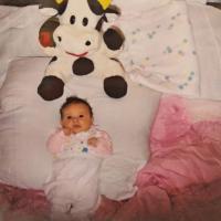 Ксения Владимирова