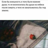 Хеда🌹