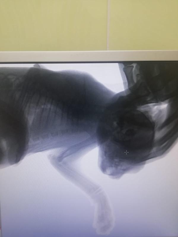 post image 3
