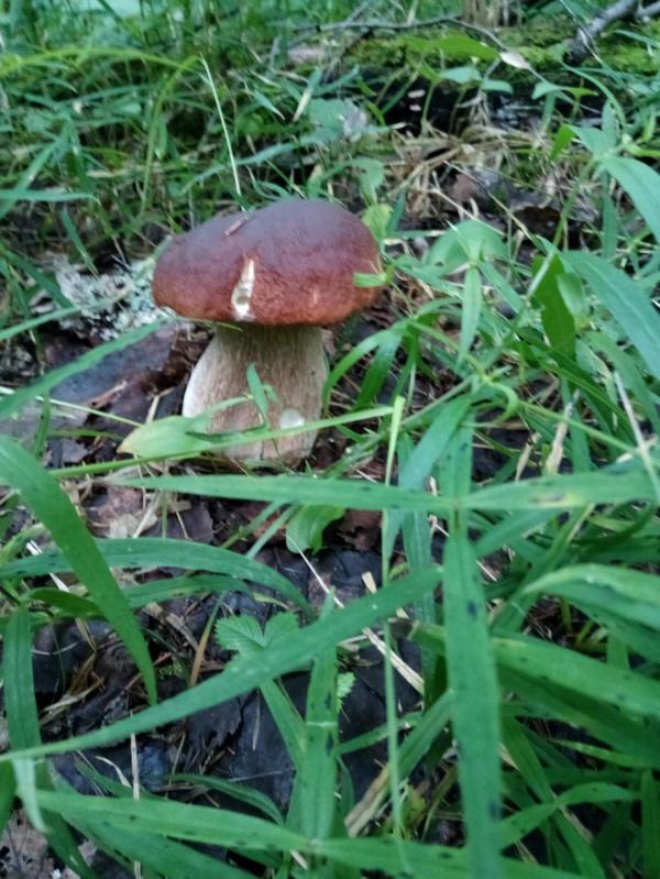 post image 5