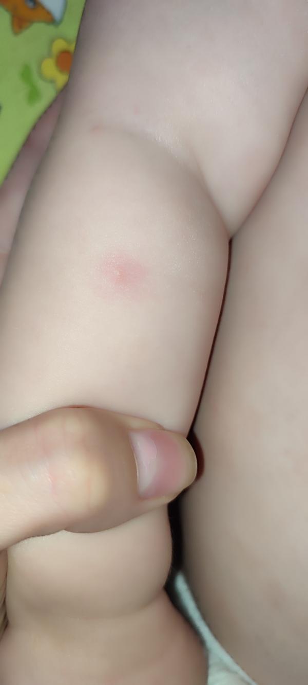 post image 5