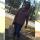 tavia.plummer