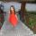 natysya442