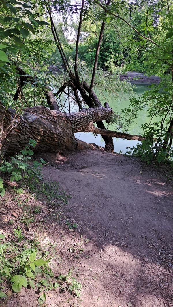 post image 4