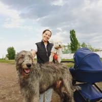 Алиса