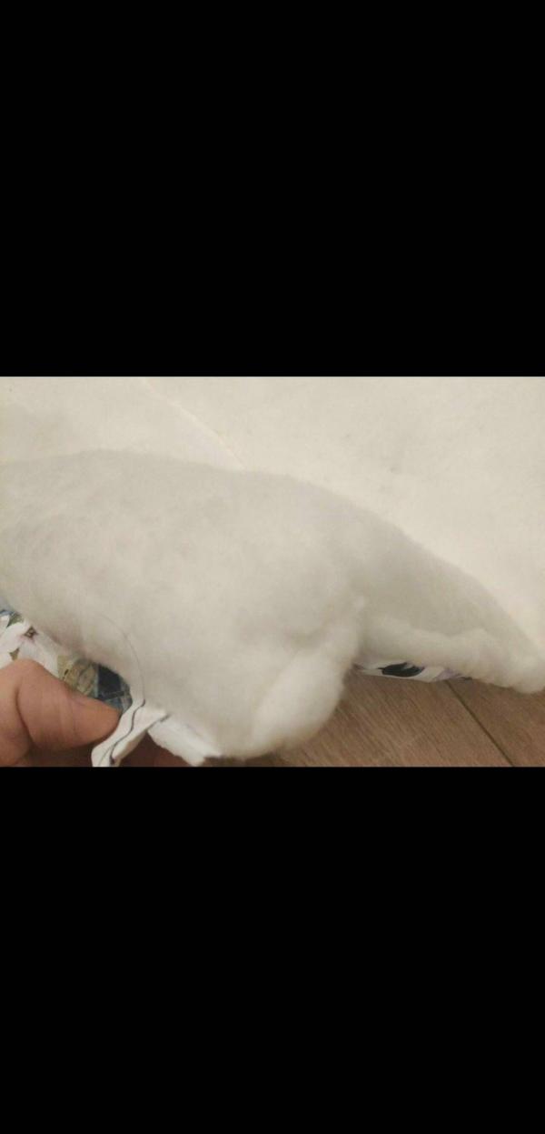 post image 4