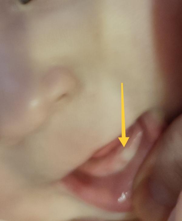 post image 4