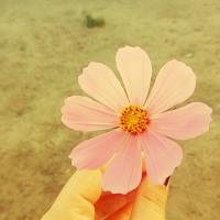 Ramilevna