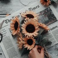 am_sa94