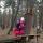dasha31