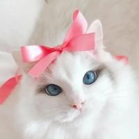 Екатерина Толмач