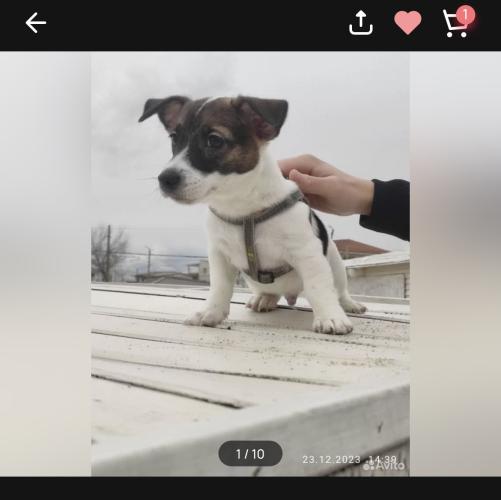 post image
