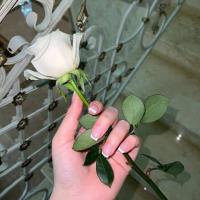 Эльмира Юсифова