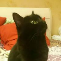 Анна