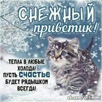 Ledi Ledi