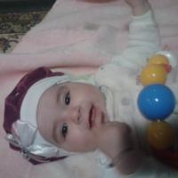 Basha