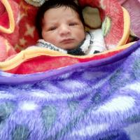 Pratibha