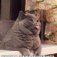 Марфи Тэти