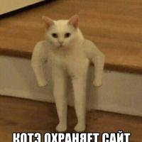 Яна
