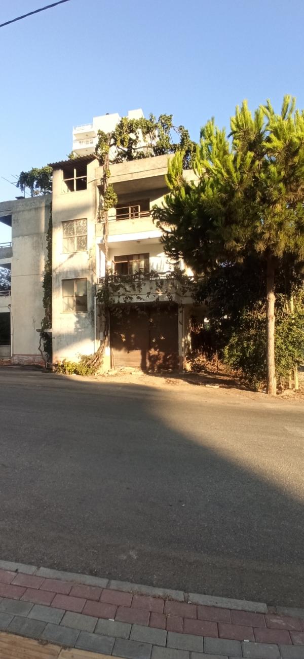 post image 5