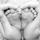 s.s.sosnina