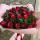 raida10071993
