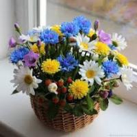 malki.palki@mail.ru