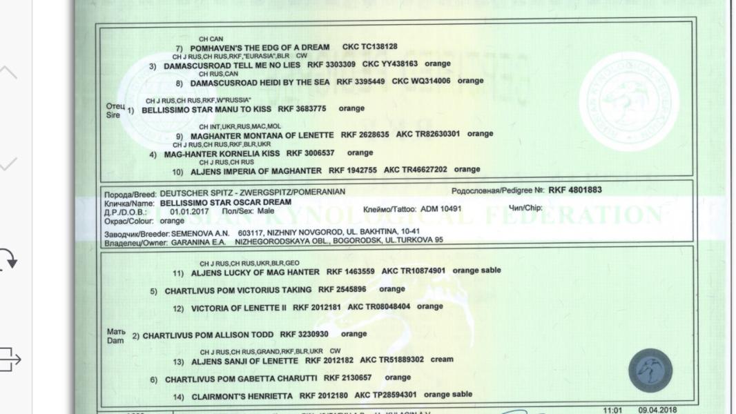 post image 4