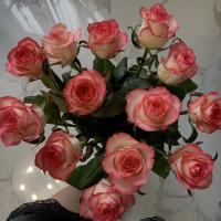 Amal_chik