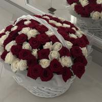 Alfeya