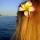 ilona_travel