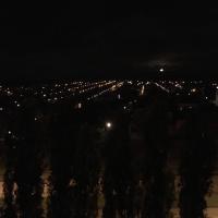 Маргарита 