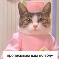 СС 