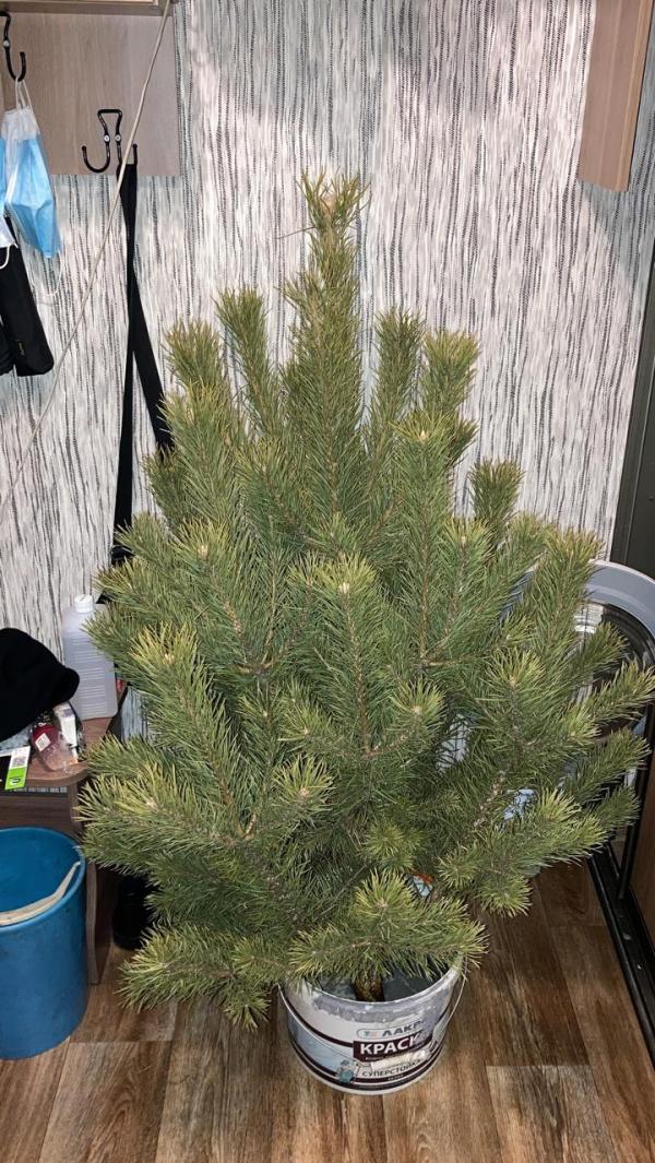 post image 4