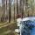 shumel_kamysh