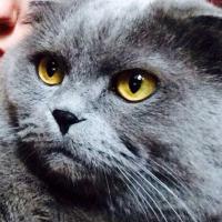 Катерина