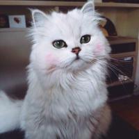 Юля