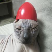 Александра 