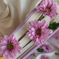 ❤️ANASTASIA❤️