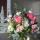 zivanova466gmail.com