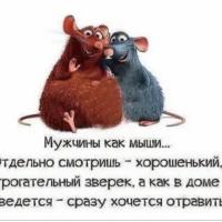  VM