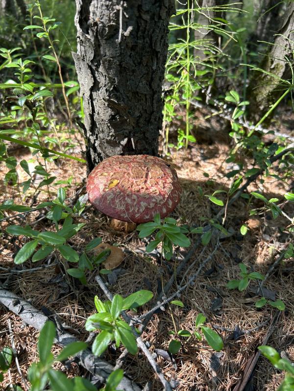 post image 4
